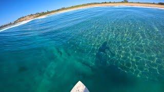 SURFING THE CLEAREST WAVES EVER!? (RAW POV) + TESTING SURF GEAR [PT.2]