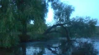 Relaxing walking on the lake