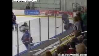 Hockey Player hit thro  glass