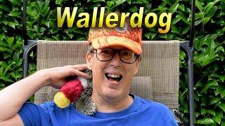 Welcome to Wallerdog Gaming Channel 20180614