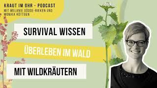 Survival Wissen - Überleben im Wald mit Wildkräutern