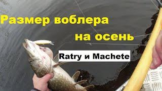 Размер воблера на осень.  Почему не атакует активная щука.  Ratry и Machete