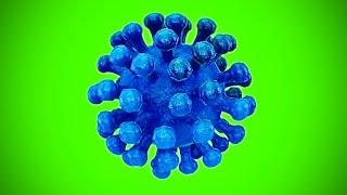 Single blue Corona Virus covid-19 Green Screen Animated Video , No Copyright || stock footage