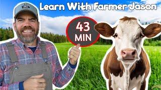 Meet The New Farm Animal! - (Super Fun Educational Video For Children)