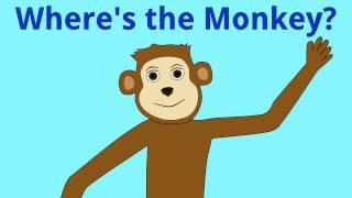 Where's the Monkey?