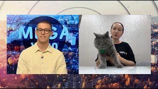 Популярный кот Федя и его хозяйка Наталья Жданова