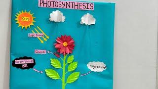 Photosynthesis model for Science Project/Photosynthesis model/Photosynthesis 3D Working model