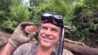 River Metal Detecting : I Couldn't Believe The Finds!