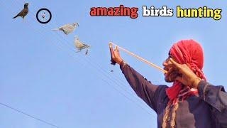 amazing birds hunting with slingshot!