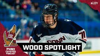 Is NHL Draft Prospect Matthew Wood a fit for the Arizona Coyotes?