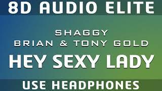 Shaggy, Brian & Tony Gold - Hey Sexy Lady |8D Audio Elite|