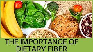 8 what's of dietary fibre and its impact on health I Nutrition and Health