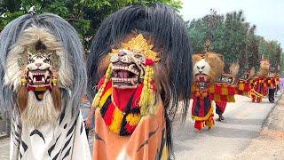 MANTAPP !! Arak Arakan Reog Ponorogo & Barongan Blora Keliling Desa Seni Barong Manunggal roso