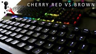 (110 wpm) Fast Typing Sound Test: Cherry MX Red VS Brown and O-Rings