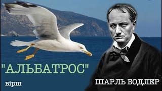 Вірш "Альбатрос". Шарль Бодлер