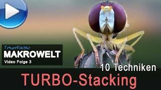 so funktioniert Turbo-Stacking (10 Methoden, Traumflieger Makrowelt Nr. 3)