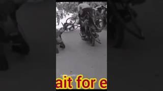 Cycel accident #Totaly Entertainment2.0#shorts #Shorts video#trendingshorts #youtubeshorts #