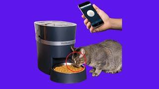 Before You Buy PetSafe Smart Feed Automatic Pet Feeder for Cat and Dogs