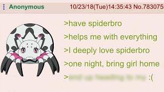 Anon has a Spiderbro | 4Chan Greentext Stories