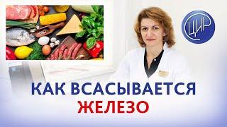 Усвоение железа. Как всасывается железо. Ферроредуктаза, трансферрин, ферритин. Железо и кальций.