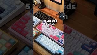 5 Keyboards, 1 Switch. pt1 KTT Kang White #keyboard #keyboards #mechanicalkeyboard #setup #techsetup