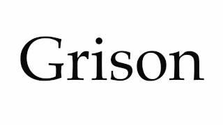 How to Pronounce Grison