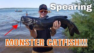 Spearfishing Monster Catfish!!!