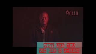 Non Like You Vic Gee x J-Sling(Official Audio)