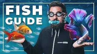 How to CHOOSE the PERFECT FISH for Your Aquarium