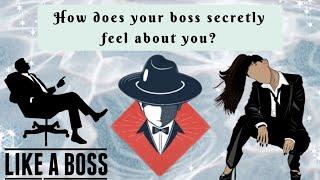 ‍How does your boss secretly feel about you ? ️