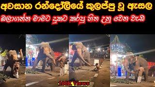 SriDalada Final Randoli Perahera 2022|Elephant Attack #elephant #perahera #attack #kandy #srilanka