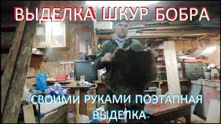 Выделка шкур бобра своими руками. Поэтапная выделка.