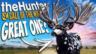 The Great One Mule Deer Could Be INSANE! Call of the wild