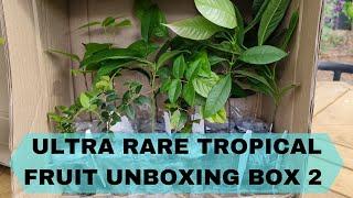 UNBOXING ULTRA RARE TROPICAL FRUIT TREES BOX 2