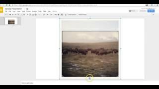 How to crop & edit images in Google Slides