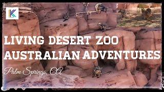 Living Desert Zoo - Australian Adventures , Palm Springs Desert, CA || Kiran Kumar