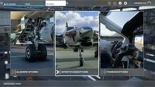 MSFS 2020 Einstellungen