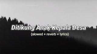 Lil Mamat X Lil Salmonella - Ditikung Anak kepala Desa (lyrics+reverb)