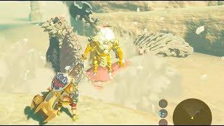 Breath of the Wild: Molduga vs Gold Lynel