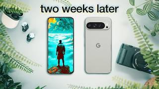 Pixel 9 Pro XL 2 Weeks Later: Truth After Hype