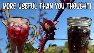 You've Got To Try These Recipes | Roselle Hibiscus