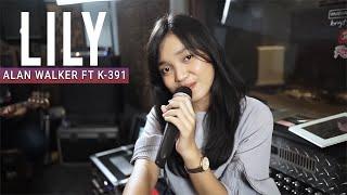 Alan Walker, K-391 & Emelie Hollow - Lily cover Remember Entertainment