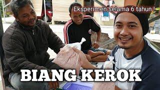 SEJARAH UMPAN BIANG KEROK, TIPS DAN STELAN.