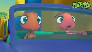 Antiks Go Driving | Antiks Stories and Adventures for Kids | Moonbug Kids