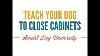 Teach Your Dog to Close Doors and Cabinets (Video)