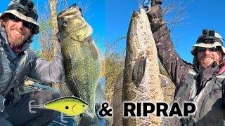 Squarebills & RipRap for Snakehead and Bass: Tips on a Solid Spring Fishing Pattern