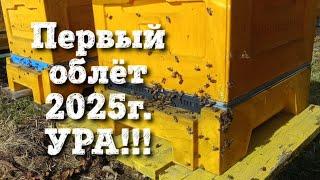 ПЕРВЫЙ ОБЛЁТ ПЧЁЛ 2025г. УРА!!!