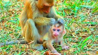 When Mother Libby left baby Lily alone, Sister Rainbow helped soothe her so she would stop crying.