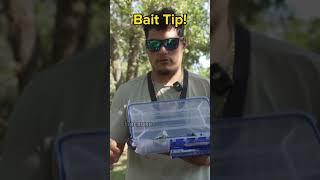 Use this tip to get more bass! #shorts #bassfishing