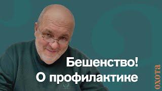 Бешенство! Как проводить профилактику? Валерий Кузенков о биотехнии и работе с популяцией.